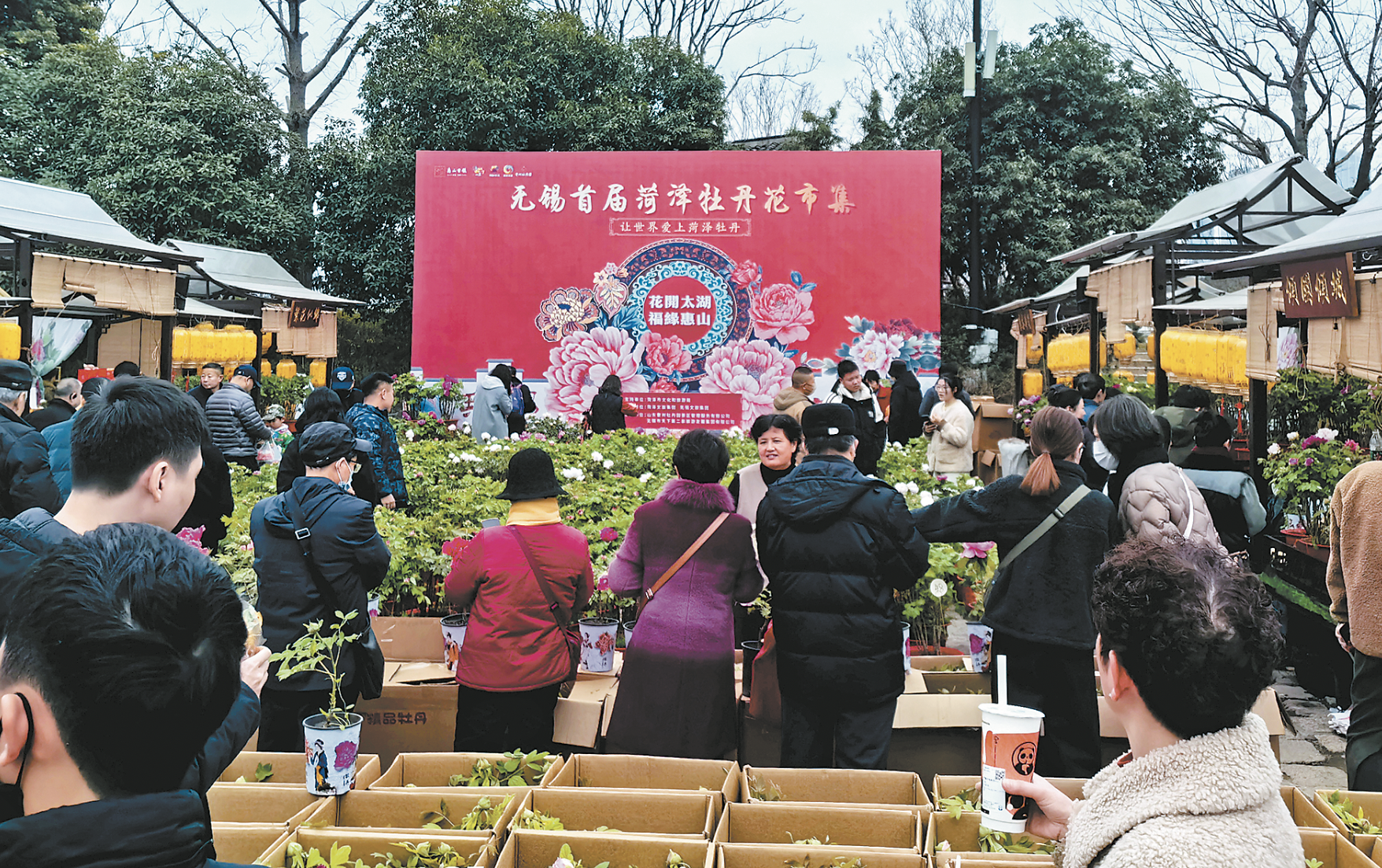 “國色芳華”的花香密碼