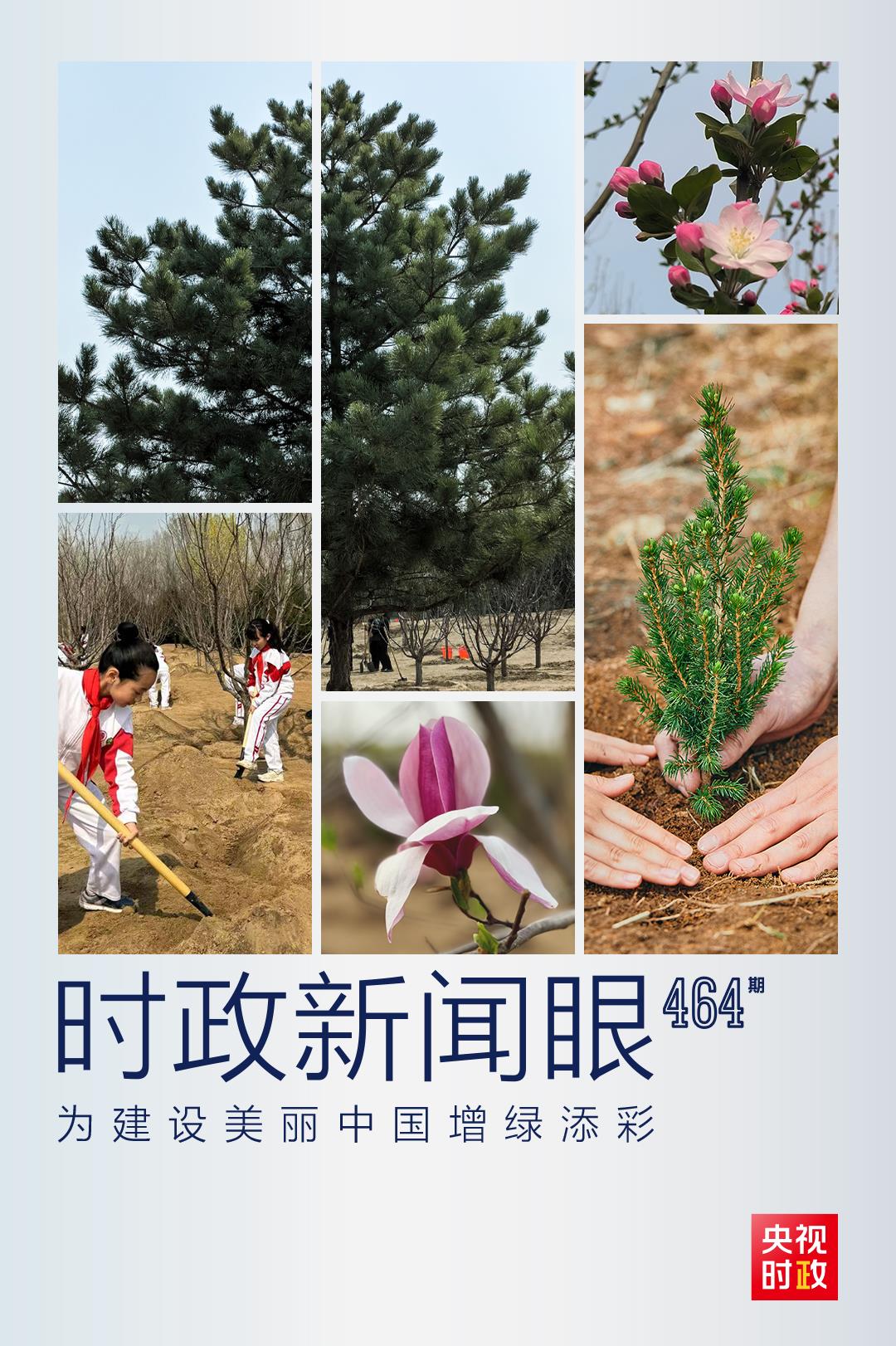 時政新聞眼丨再次參加首都義務(wù)植樹活動，習近平強調(diào)綠化祖國要三