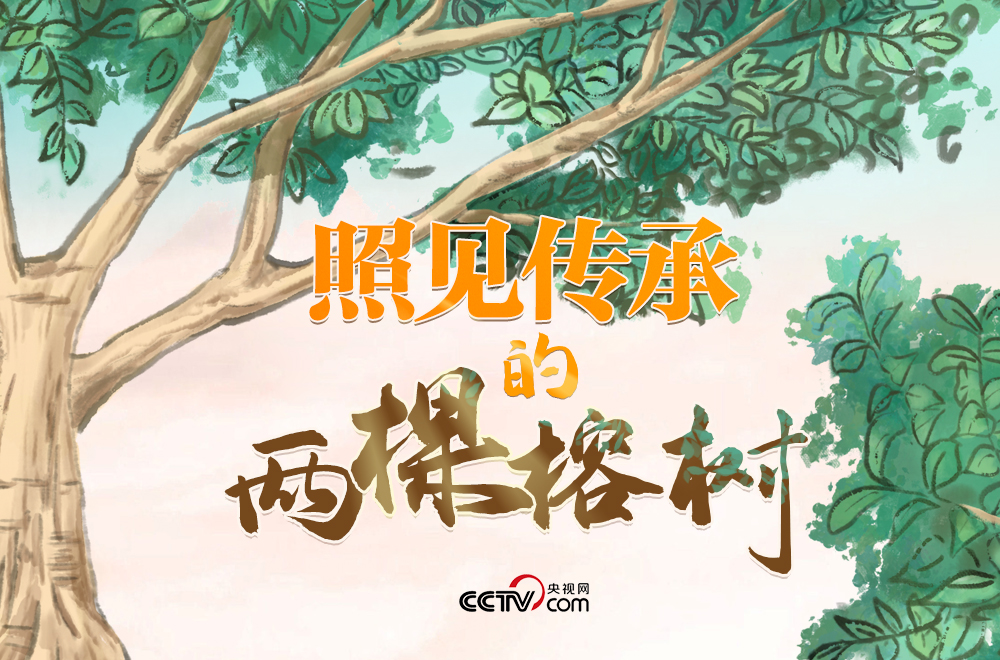 人民領(lǐng)袖｜照見傳承的兩棵榕樹