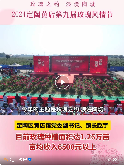 菏澤玫瑰登場啦！