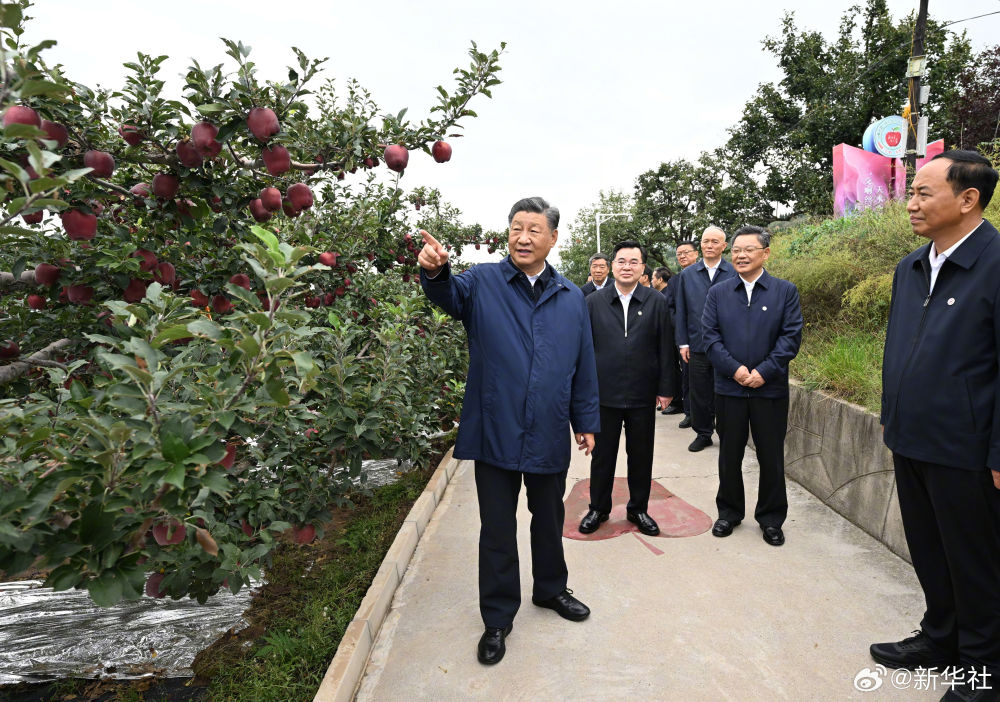 習(xí)近平：鄉(xiāng)村振興要靠產(chǎn)業(yè)，各地要各展其長