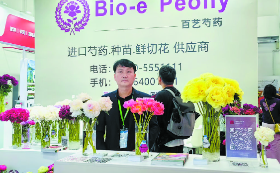 菏澤芍藥“綻放”中國國際花卉園藝展覽會