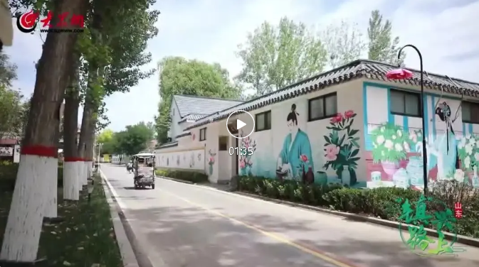 “鎮(zhèn)”興路上丨菏澤市牡丹區(qū)李洪周村：一朵花造福一方人 “花樣”經(jīng)濟(jì)興菏澤