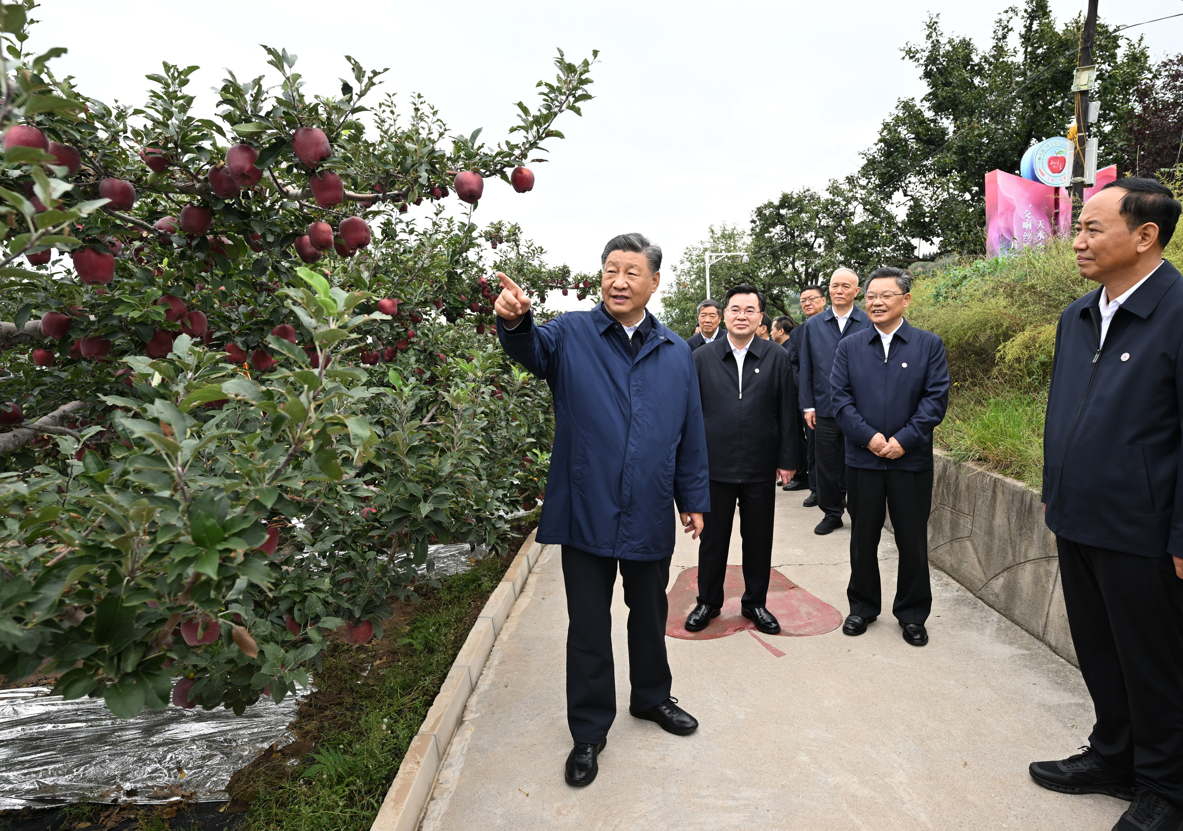 一見·從蘋果故事，感悟治理之道