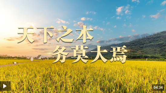 時政長鏡頭丨天下之本 務莫大焉