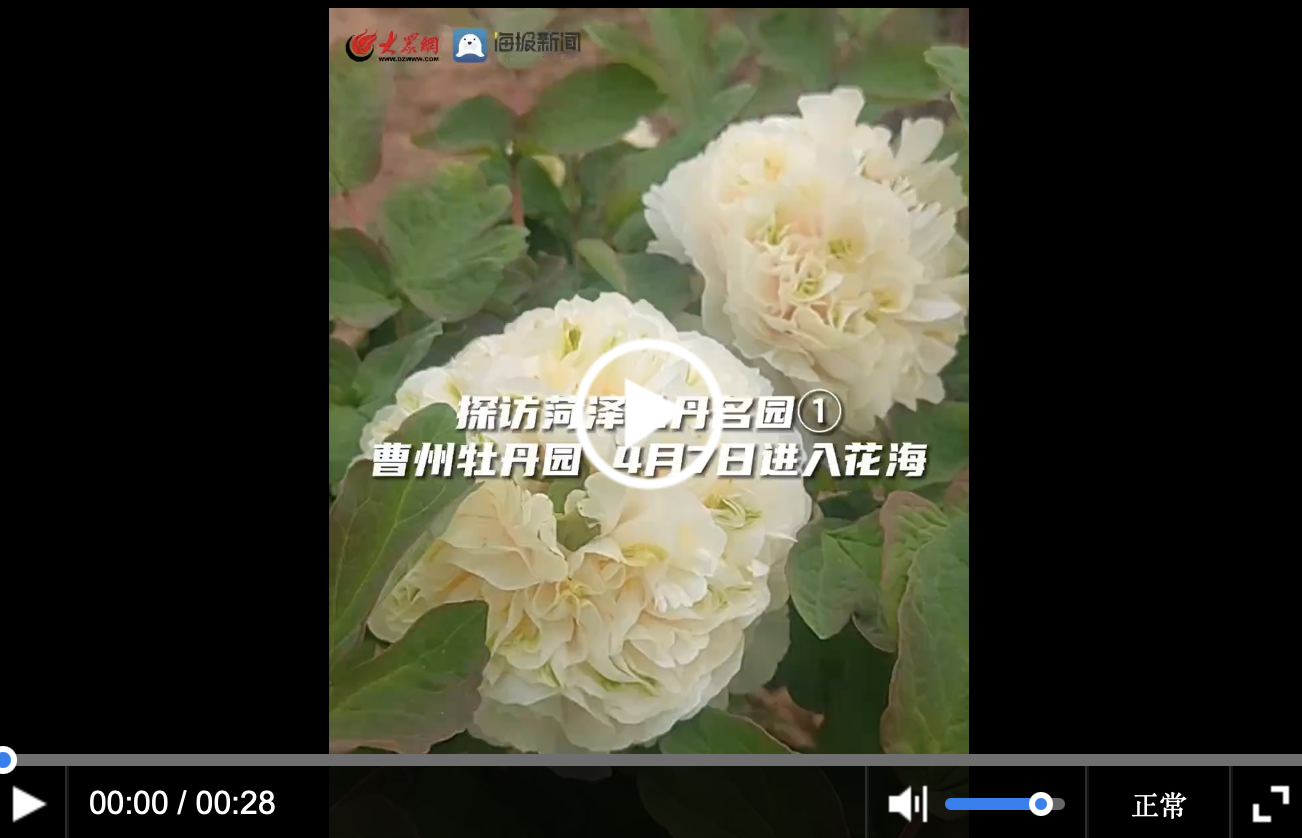 亮點(diǎn)紛呈，一句話評價(jià)今年菏澤各牡丹園新看點(diǎn)