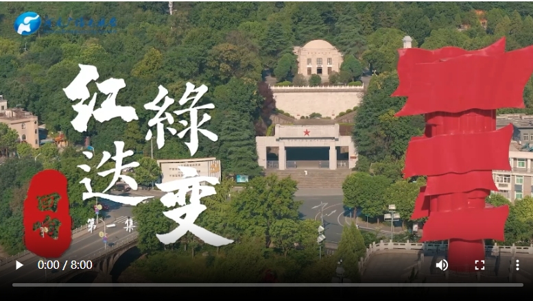 清澈的愛 只為中國(guó) ｜回響