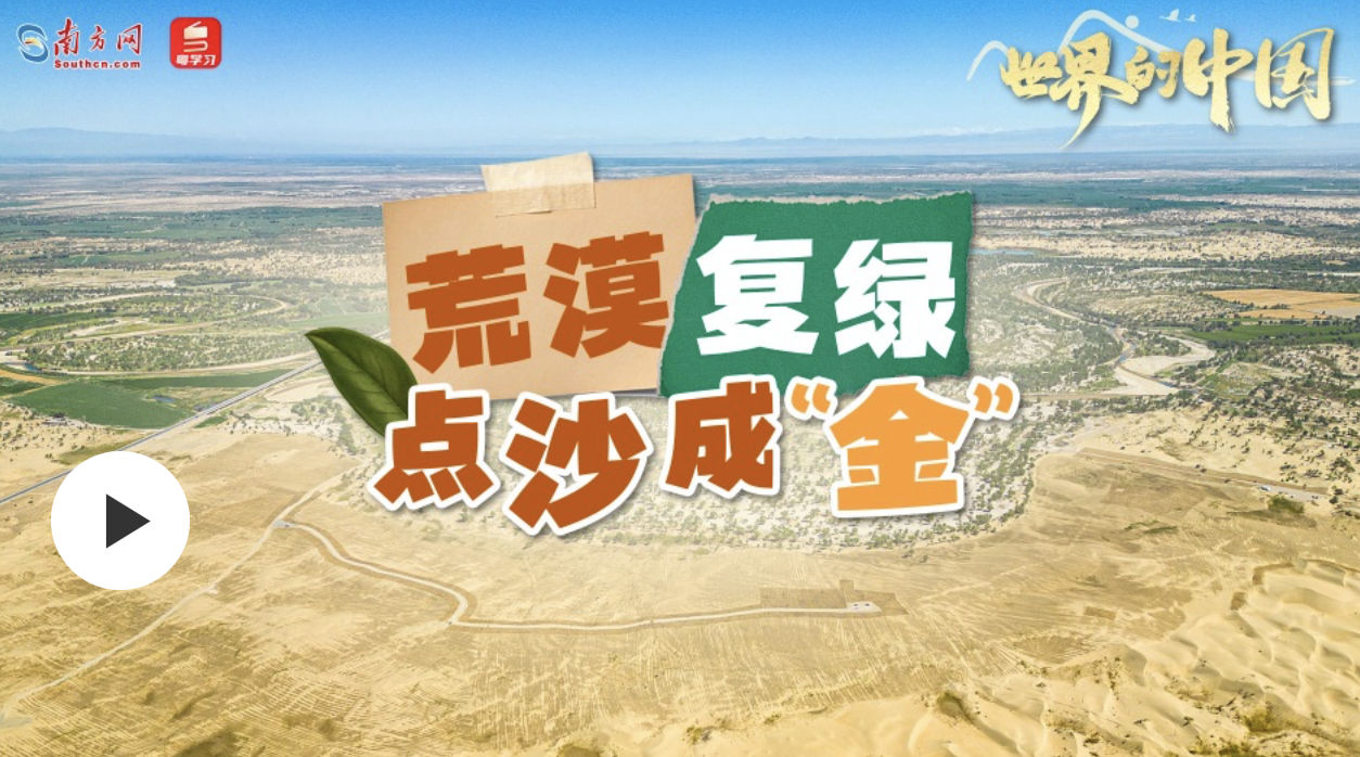 世界的中國｜荒漠復綠，點沙成“金”