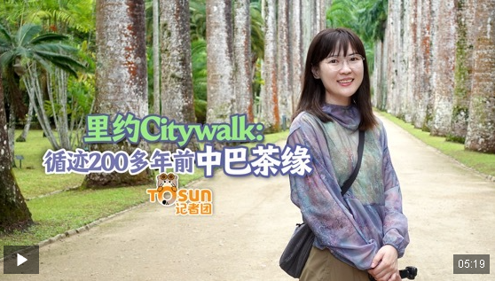 時政Vlog丨里約Citywalk：循跡200多年前中巴茶緣