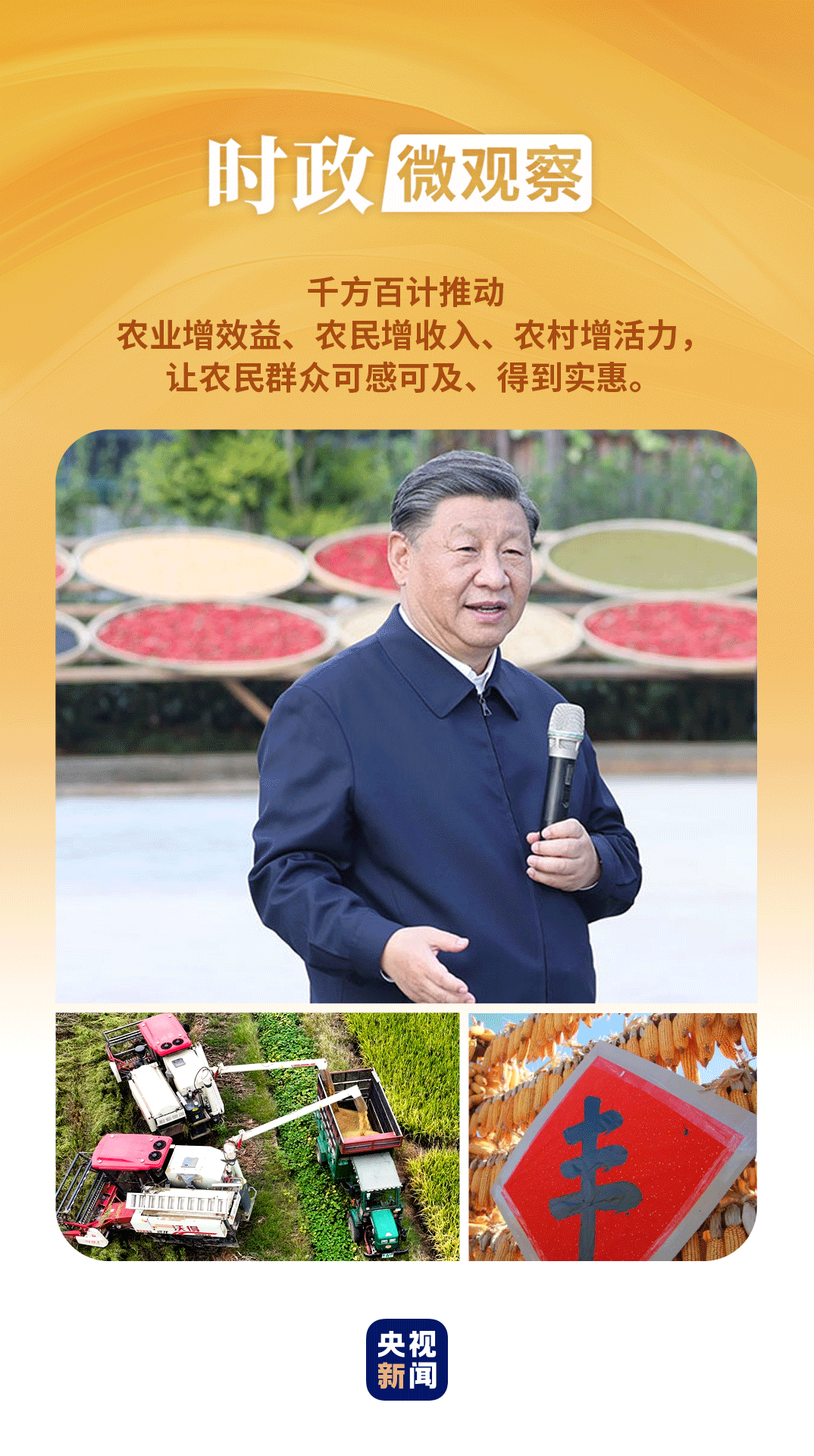 時(shí)政微觀察丨豐收時(shí)節(jié)，總書(shū)記強(qiáng)調(diào)三個(gè)“增”