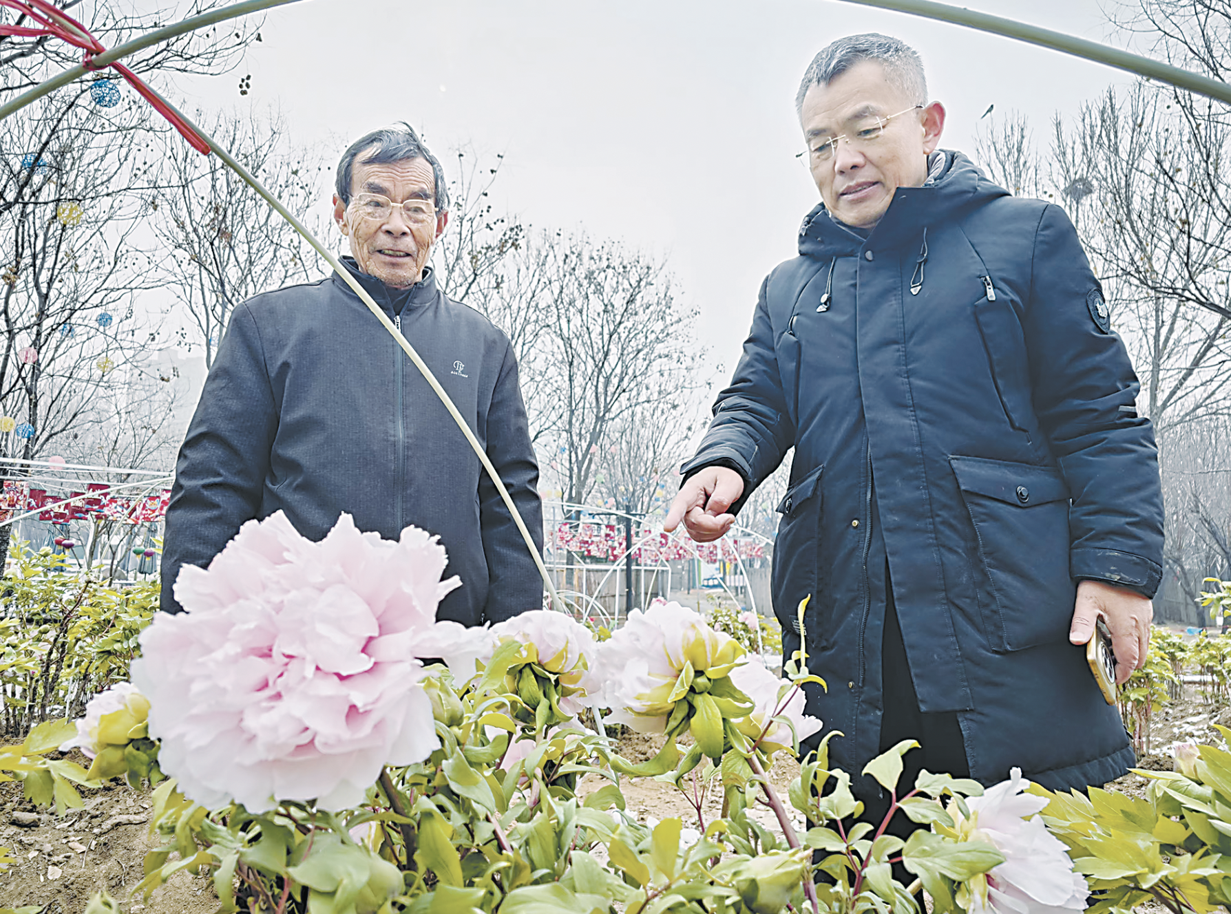 看“國(guó)色芳華”，賞菏澤牡丹