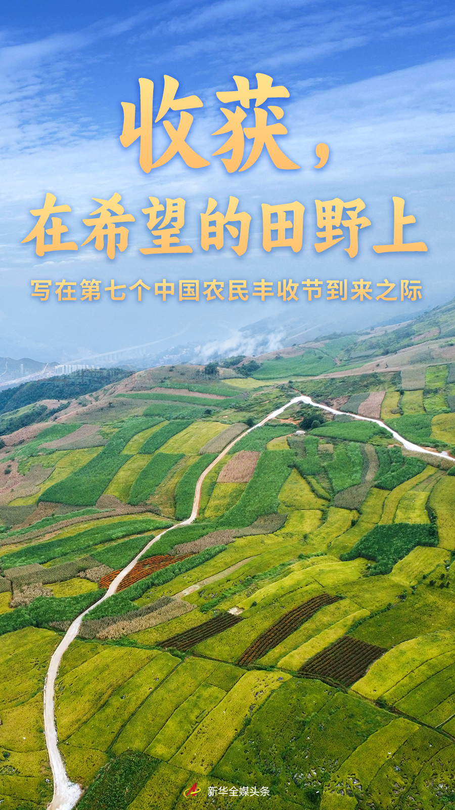 收獲，在希望的田野上——寫在第七個(gè)中國(guó)農(nóng)民豐收節(jié)到來之際