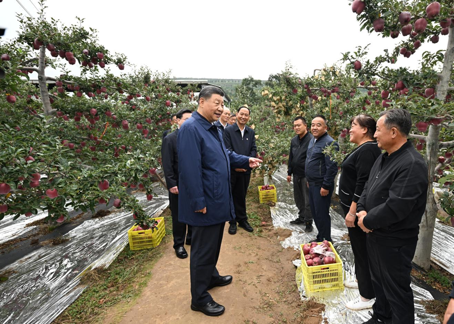 學(xué)習(xí)進(jìn)行時(shí)丨“讓農(nóng)民腰包越來越鼓、生活越來越美好”——習(xí)近平總書記走進(jìn)田間地…