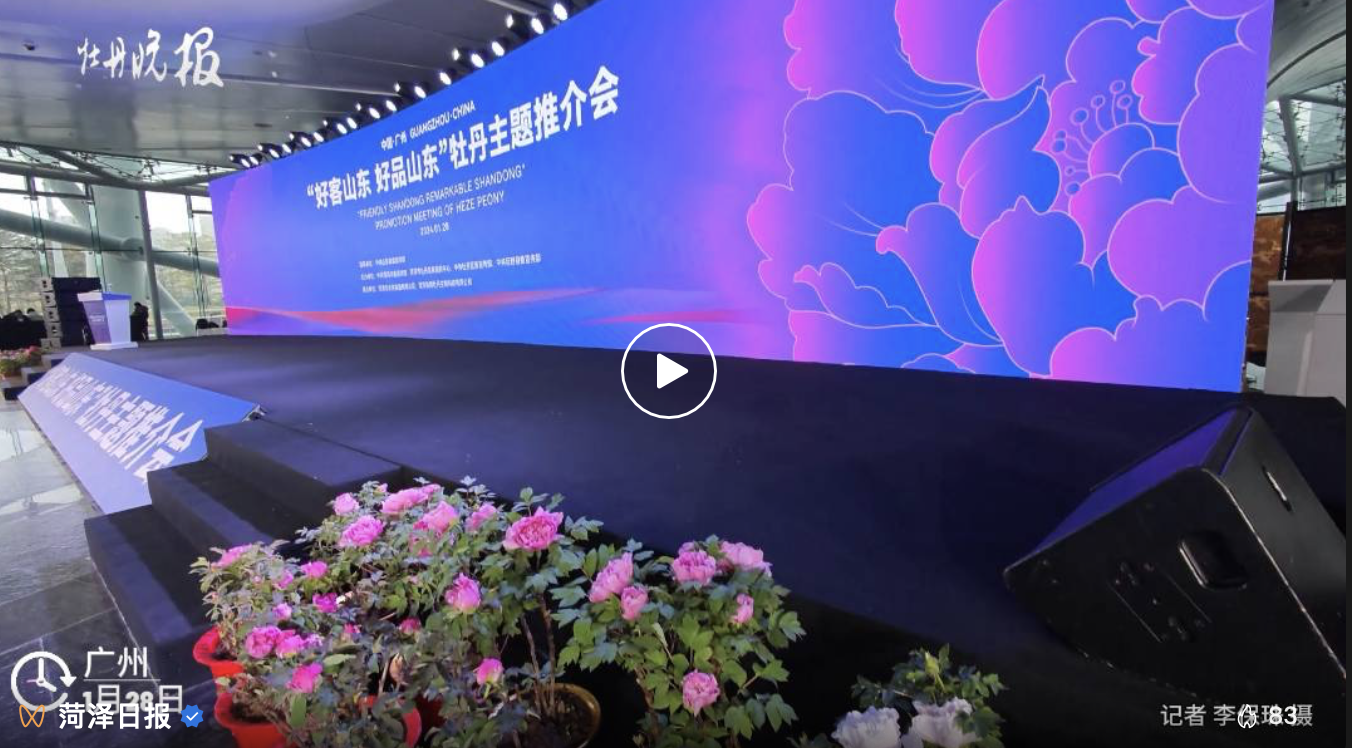 菏澤牽手廣州，牡丹點亮“廣州塔”！