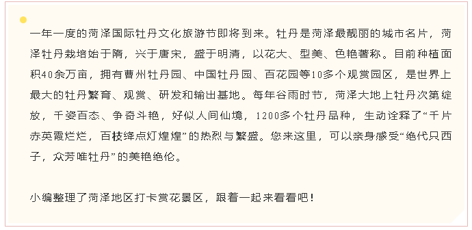 哪里牡丹最好看？老菏澤人帶你玩轉(zhuǎn)各大牡丹園！