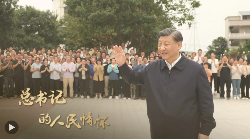 總書記的人民情懷｜“樹牢造福人民的政績觀”