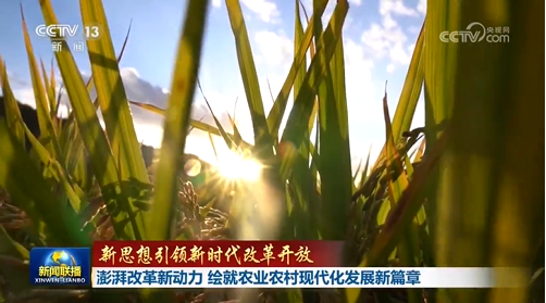 【新思想引領新時代改革開放】澎湃改革新動力 繪就農業(yè)農村現代化發(fā)展新篇章