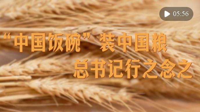 微視頻丨“中國飯碗”裝中國糧，總書記行之念之