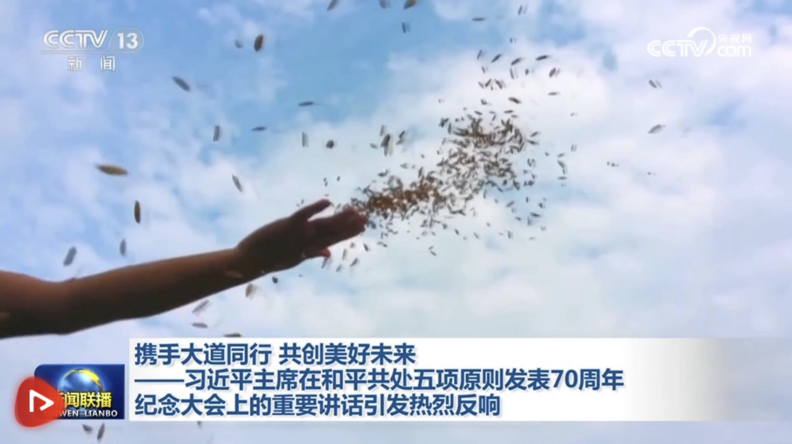攜手大道同行 共創(chuàng)美好未來——習(xí)近平主席在和平共處五項(xiàng)原則發(fā)表70周年紀(jì)念大…