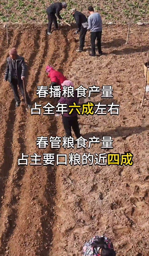 時習之丨又是一年春耕時 習近平牽掛的大國“糧”事