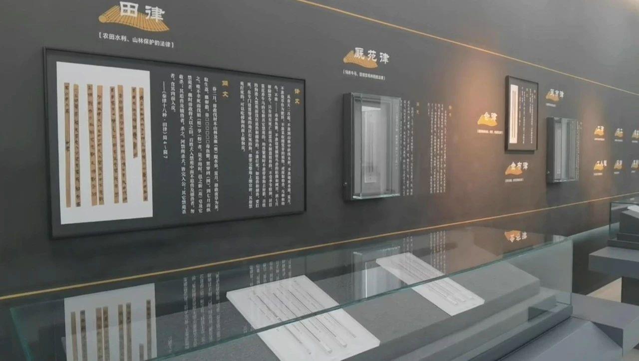跟著總書記看簡牘