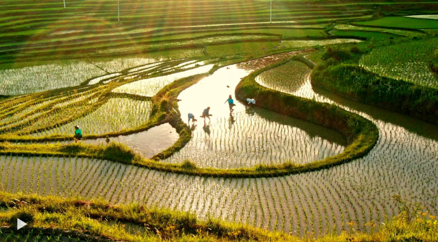 中國(guó)成功打贏脫貧攻堅(jiān)戰(zhàn)的世界意義，這三篇文章說(shuō)清楚了