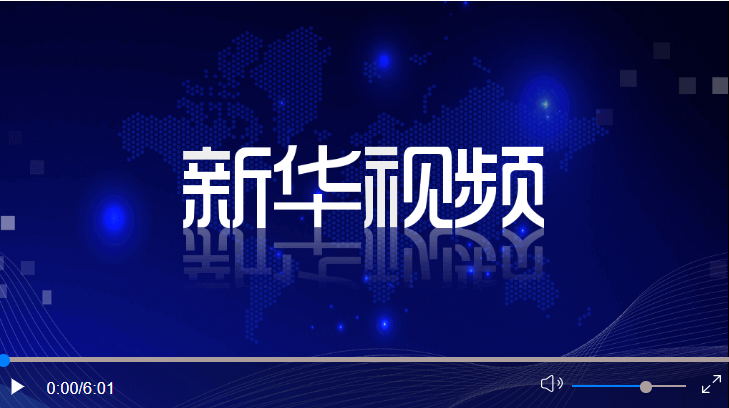 習近平接受外國新任駐華大使遞交國書