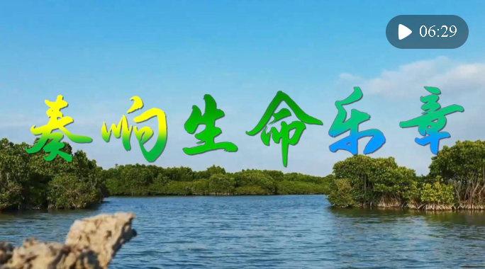 微視頻｜奏響生命樂章