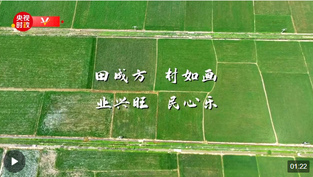 習(xí)近平湖南行丨強(qiáng)化農(nóng)業(yè)科技支撐 繪就鄉(xiāng)村全面振興新畫卷——走進(jìn)常德市鼎城區(qū)謝…