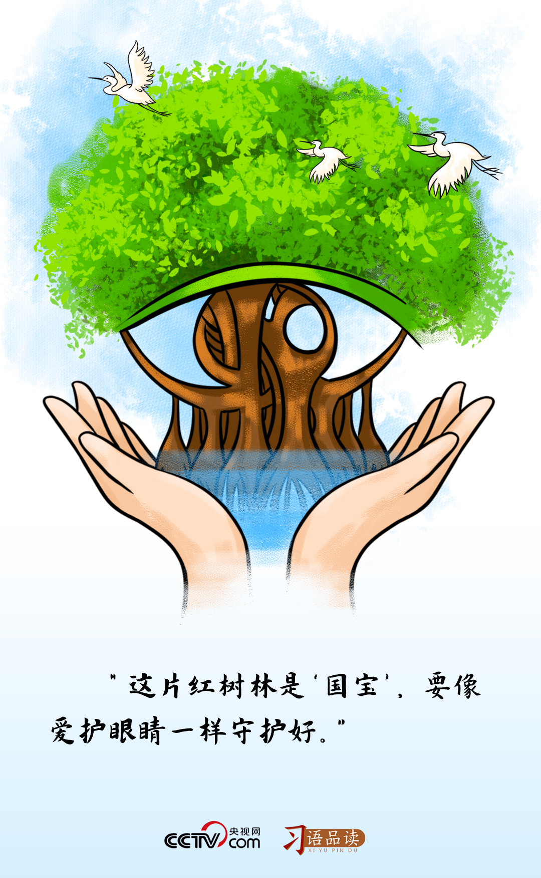 習(xí)語品讀｜這片紅樹林是“國寶”，要像愛護(hù)眼睛一樣守護(hù)好