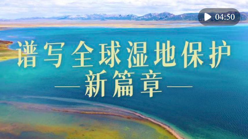 微視頻｜譜寫全球濕地保護(hù)新篇章