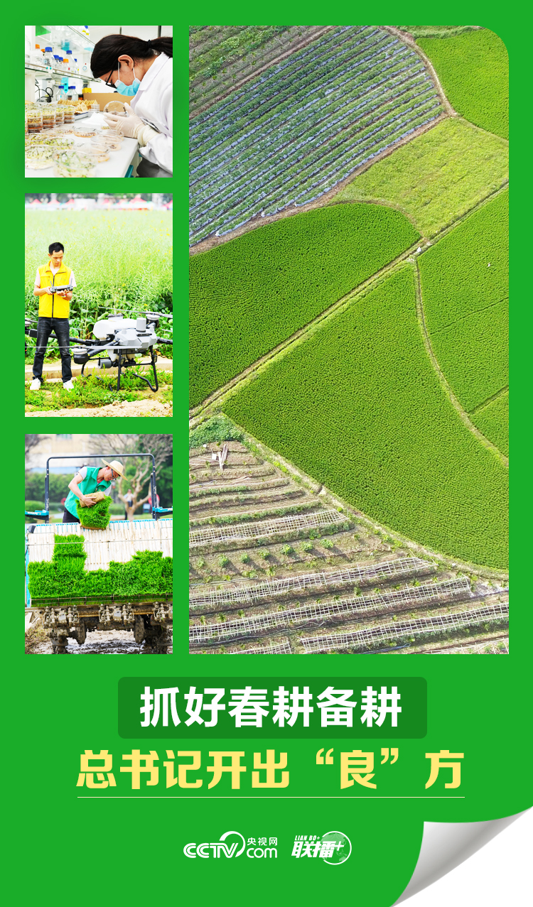 聯(lián)播＋｜抓好春耕備耕 總書記開出“良”方