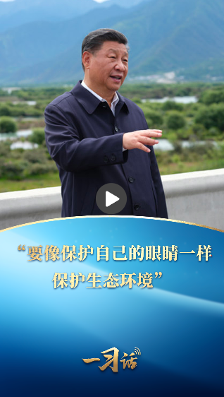 一習(xí)話·美麗中國(guó)丨“要像保護(hù)自己的眼睛一樣保護(hù)生態(tài)環(huán)境”