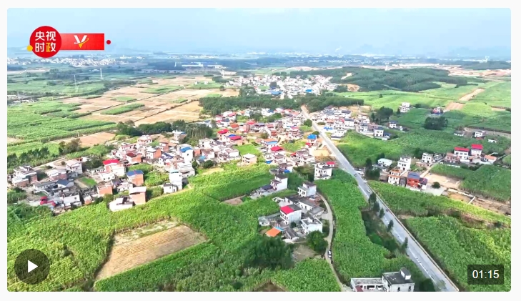習(xí)近平廣西行丨一根甘蔗撬動著甜蜜產(chǎn)業(yè)——走進(jìn)黃安優(yōu)質(zhì)“雙高”糖料蔗基地和東糖…
