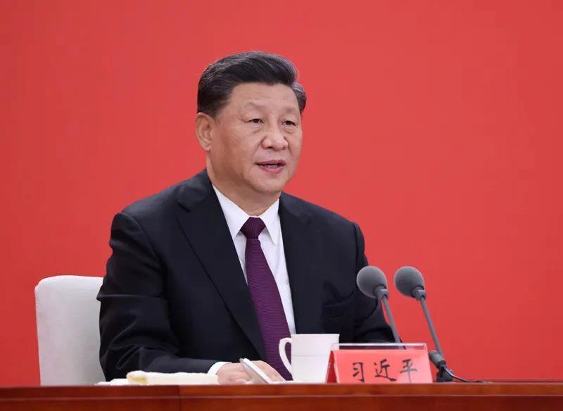 一棵樹、一塊石、一個村，從總書記的深圳足跡看改革