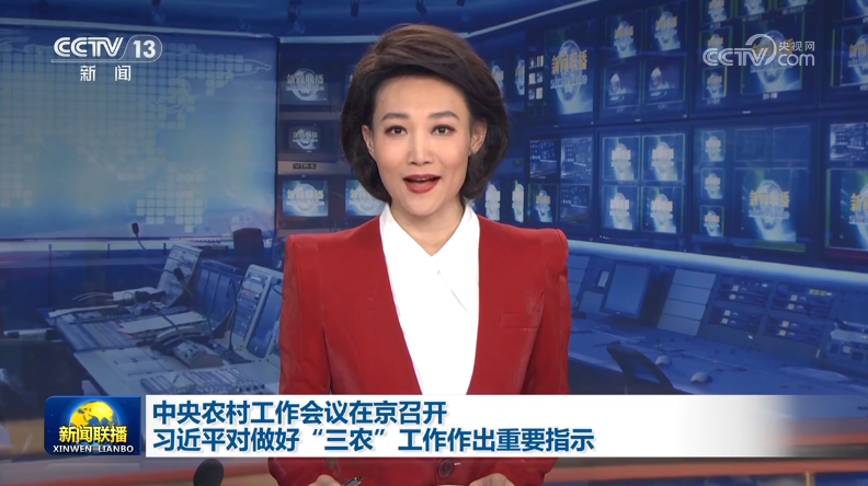 【央視快評】推動農業(yè)基礎更加穩(wěn)固、農村地區(qū)更加繁榮、農民生活更加紅火