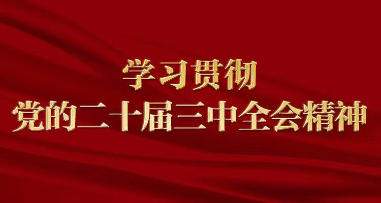 銳意改革進(jìn)取，開辟中國(guó)式現(xiàn)代化廣闊前景——與會(huì)同志談黨的二十屆三中全會(huì)精神