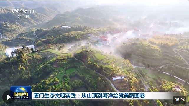 從山頂?shù)胶Ｑ?廈門繪就生態(tài)保護修復壯麗圖景