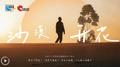 洽洽×新華網 沙漠開花公益宣傳片，6.17世界防治荒漠化與干