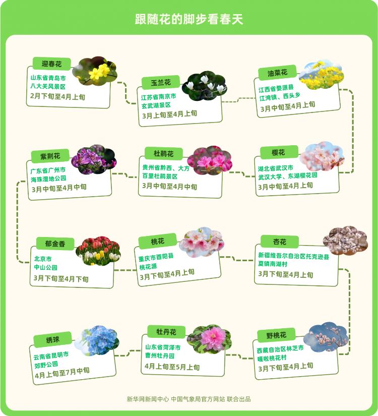 點(diǎn)亮全國(guó)春季賞花地圖，2025年菏澤牡丹觀賞最全攻略來(lái)了！